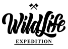 Slide 11